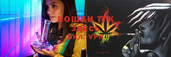 шишки Богородск