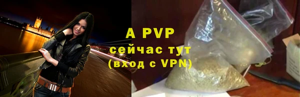 прущие грибы Бронницы