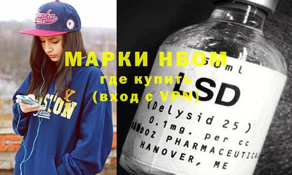 дживик Бородино