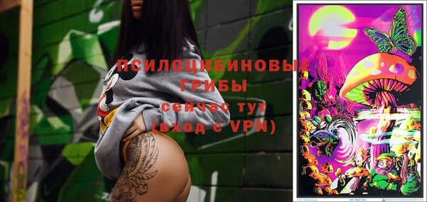 прущие грибы Бронницы
