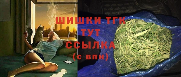 прущие грибы Бронницы