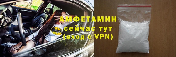 дживик Бородино