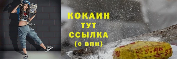 прущие грибы Бронницы